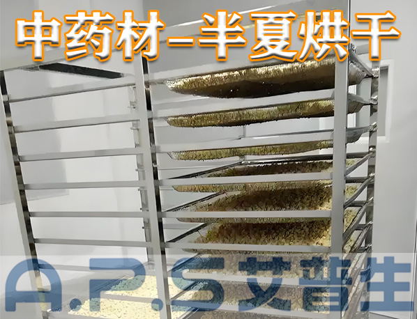 中藥材半夏烘干，除了傳統的烘干方法，首選推薦使用艾普生空氣能熱泵烘干機